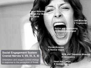 social-engagement-cranial-nerves-v1