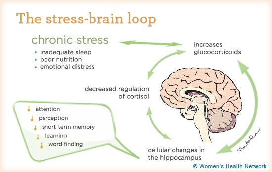 can-severe-stress-cause-memory-loss