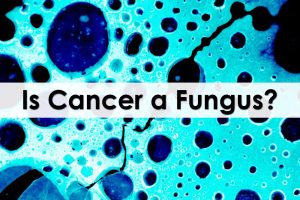Is-Cancer-a-Fungus