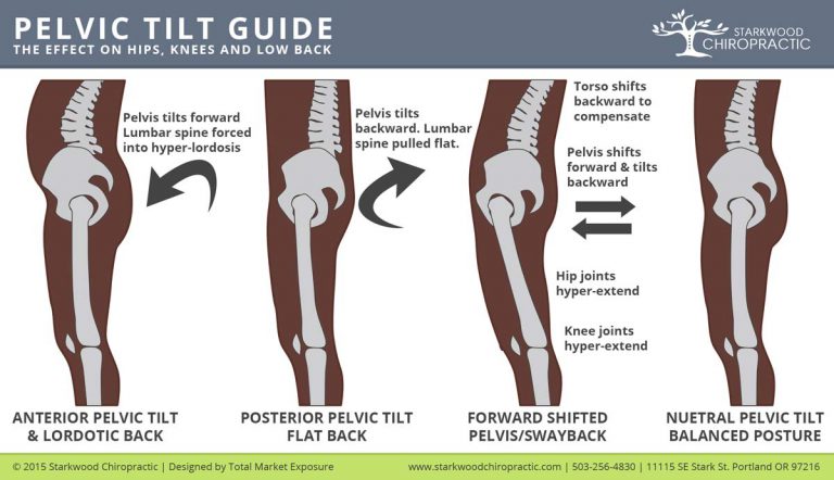 The pelvic driver - Yoga Anatomy