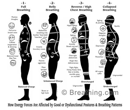 Yoga Anatomy - Postural Analysis and Breathing
