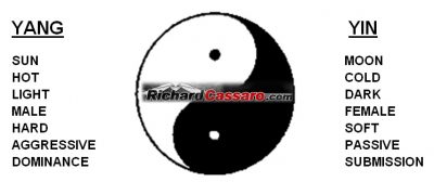 Finding balance in life with Yin & Yang forces