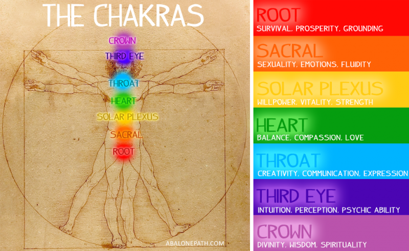 The Chakra System – fact or fiction? – Yoga Anatomy in Manchester a