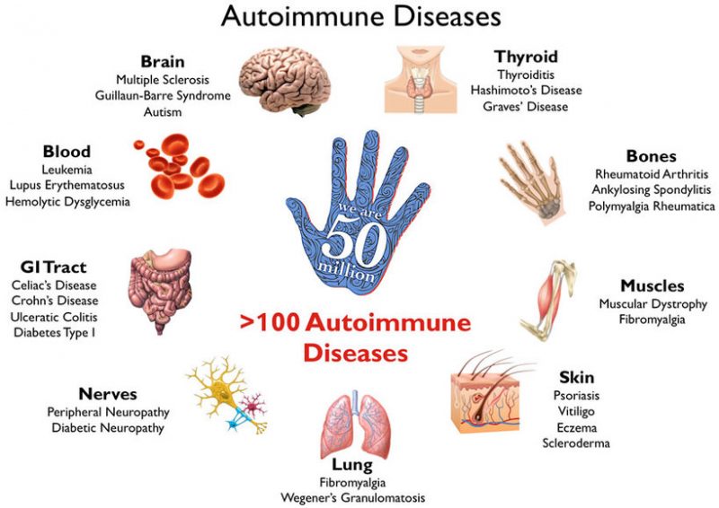 Immune Disorders Are On The Rise?