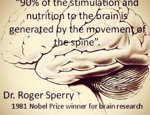 “90% of stimulation and nutrition to the brain is generated by spinal movement”