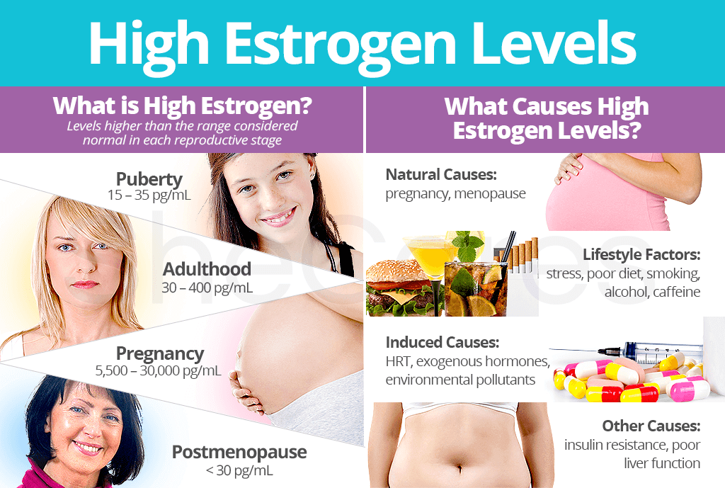 High Estrogen Levels