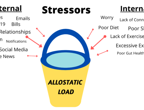 Astonishing facts about hormone healing you must read!